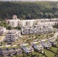 Jak ochladit rozpálená města? Výstavbou udržitelných budov se zelenými plochami a koncepcí modrozelené infrastruktury
